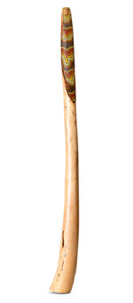Heartland Didgeridoo (HD525)